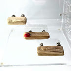 Triple Driftwood Ledge Pack with Mini Decor - for Jumping Spiders - Opus Vita