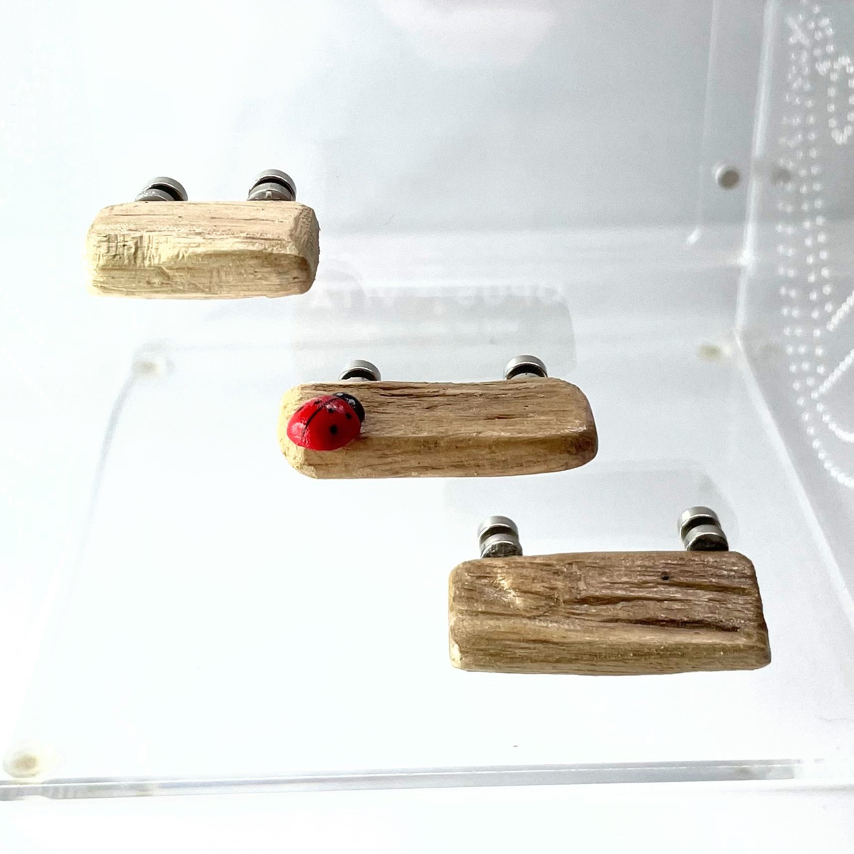 Triple Driftwood Ledge Pack with Mini Decor - for Jumping Spiders - Opus Vita
