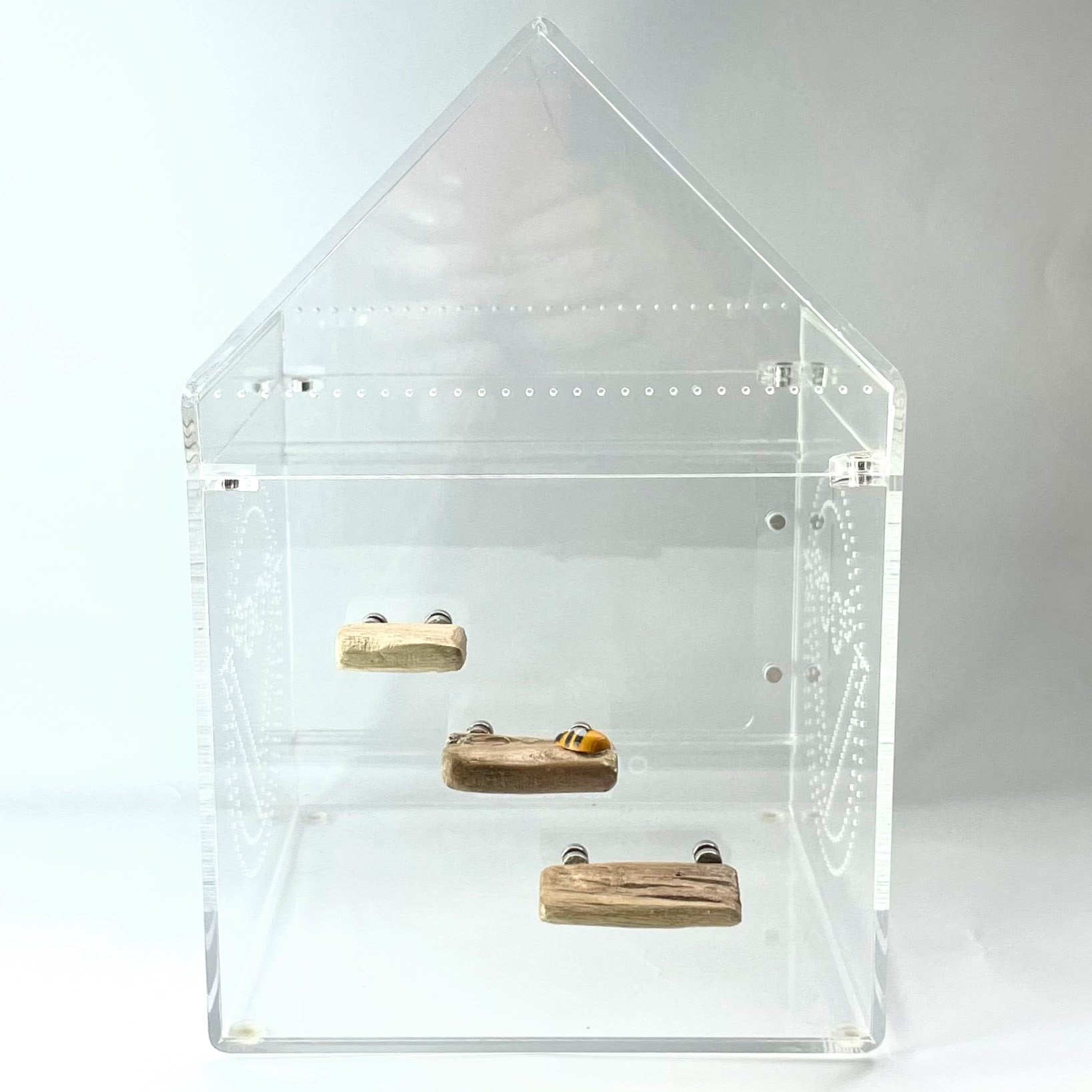 Triple Driftwood Ledge Pack with Mini Decor - for Jumping Spiders - Opus Vita