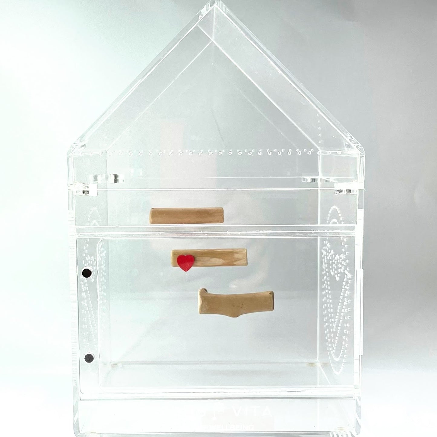 Triple Driftwood Log Set with Mini Decor - Jumping Spider Setup - Opus Vita