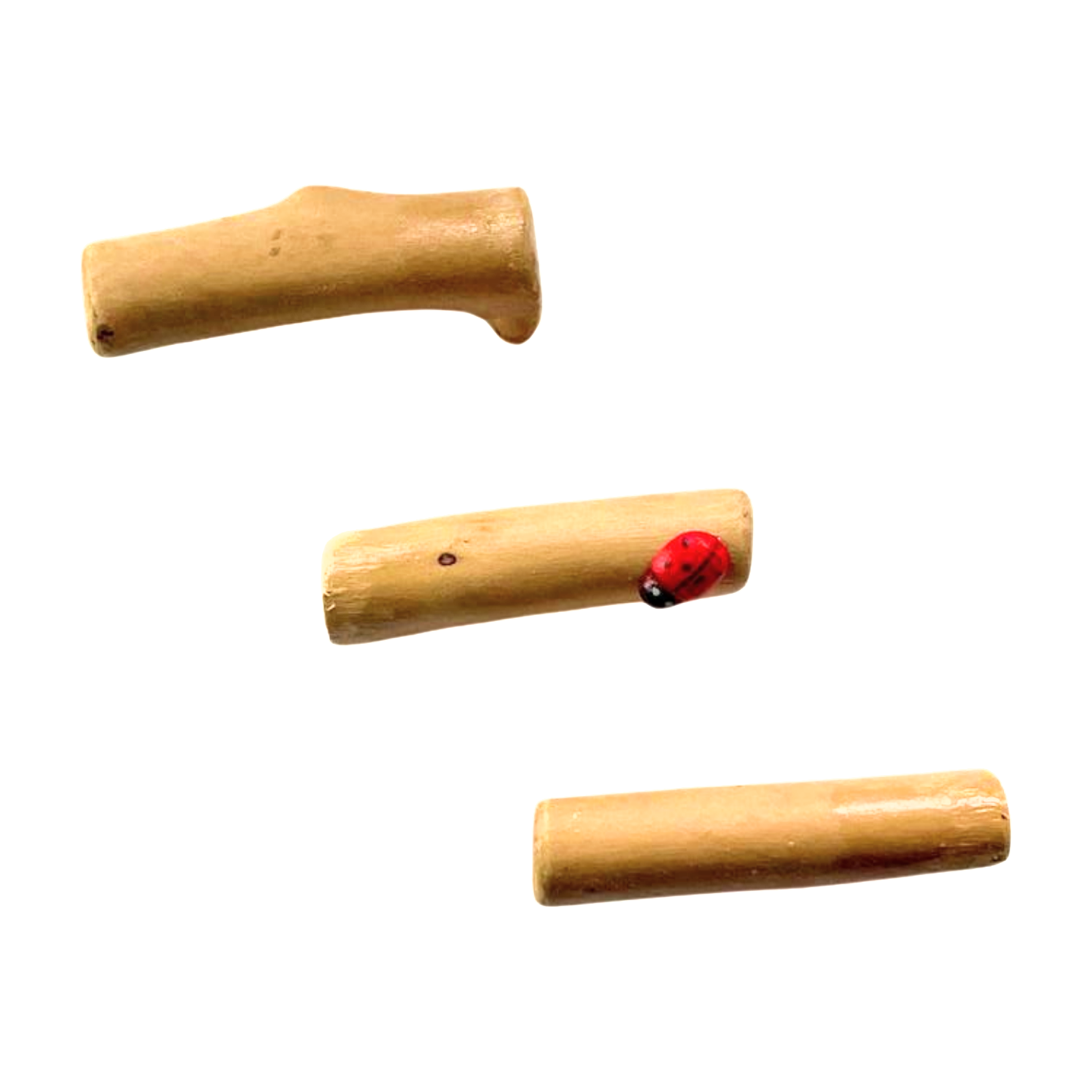 Triple Driftwood Log Set with Mini Decor - Jumping Spider Setup - Opus Vita