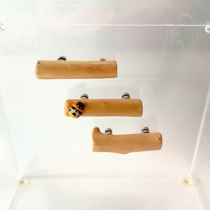 Triple Driftwood Log Set with Mini Decor - Jumping Spider Setup - Opus Vita