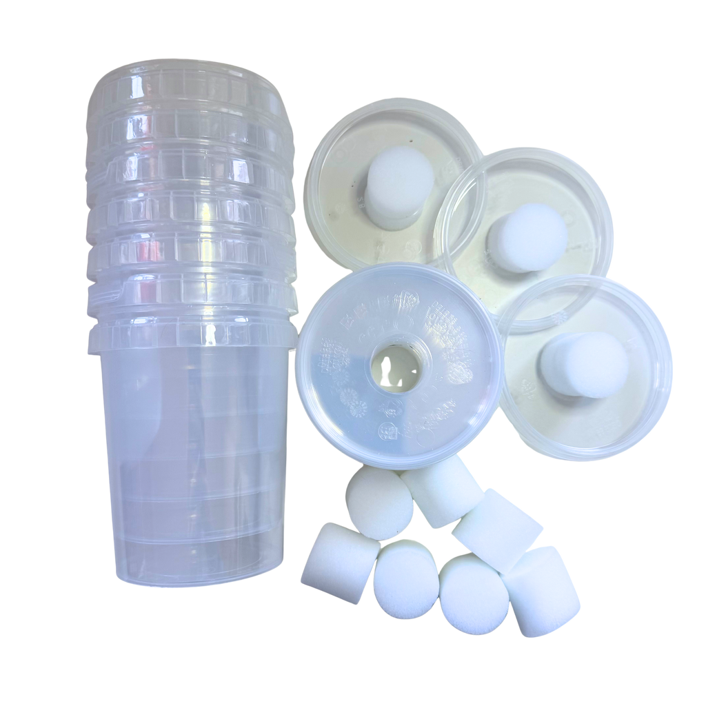 Foam Vented Culture Tubs - 520ml Plastic Tamper Evident - Clear Tub - Food Safe - Leak Proof - Reusable