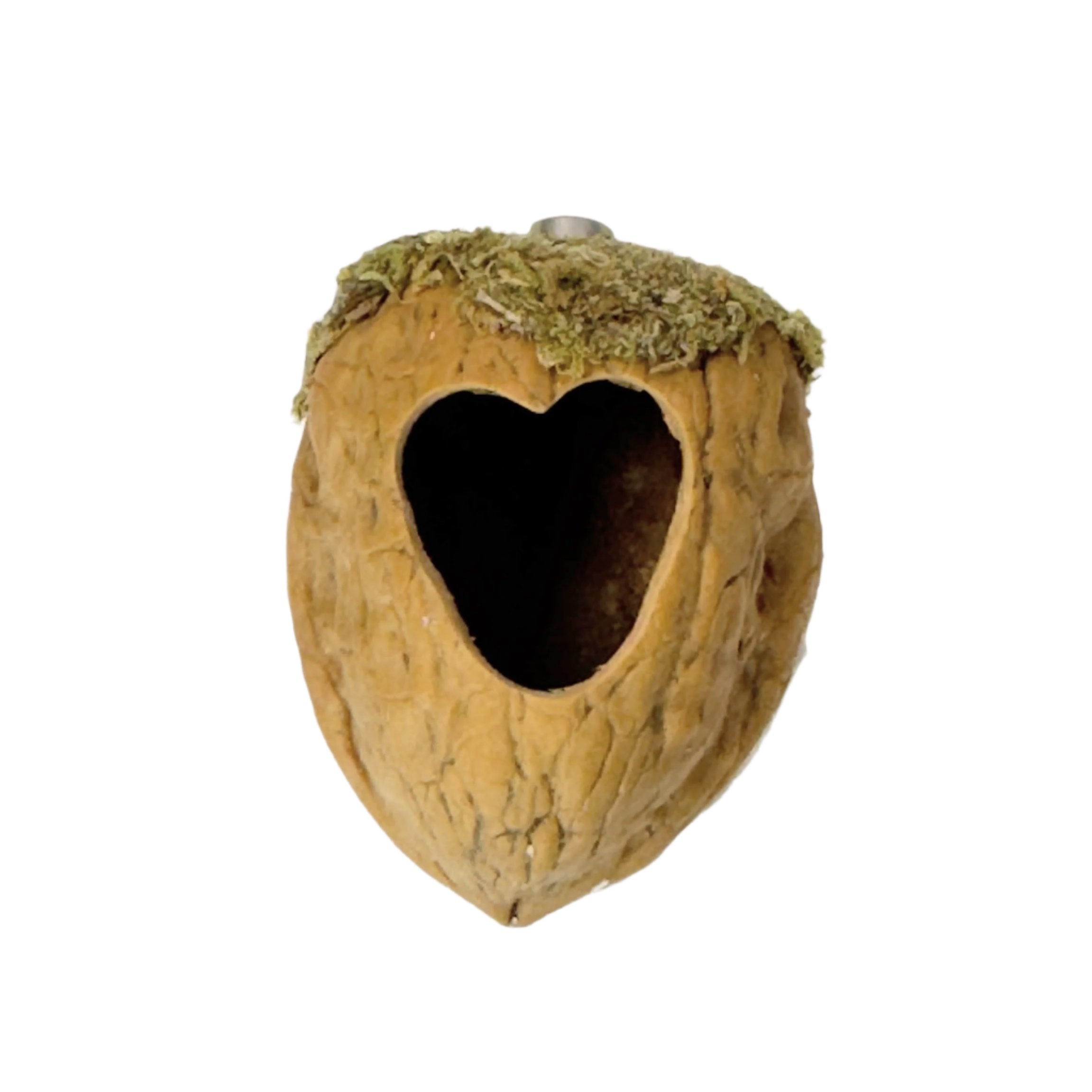 Walnut Hide made with Natural Walnut Shells - Decor - Jumping Spider Setup