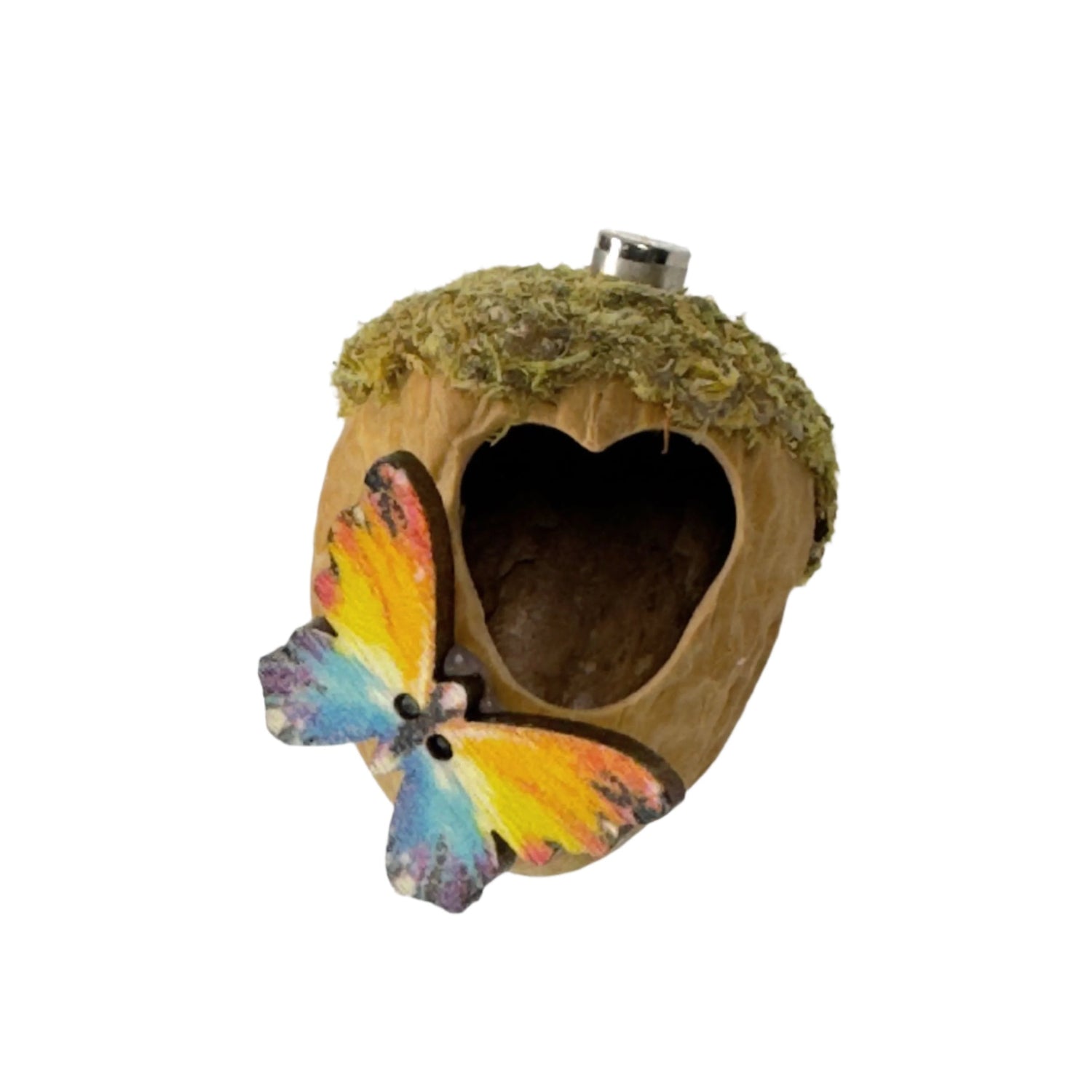 Walnut Hide made with Natural Walnut Shells - Decor - Jumping Spider Setup