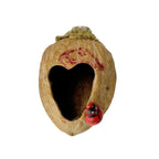 Walnut Hide  - Decor - Jumping Spider Setup