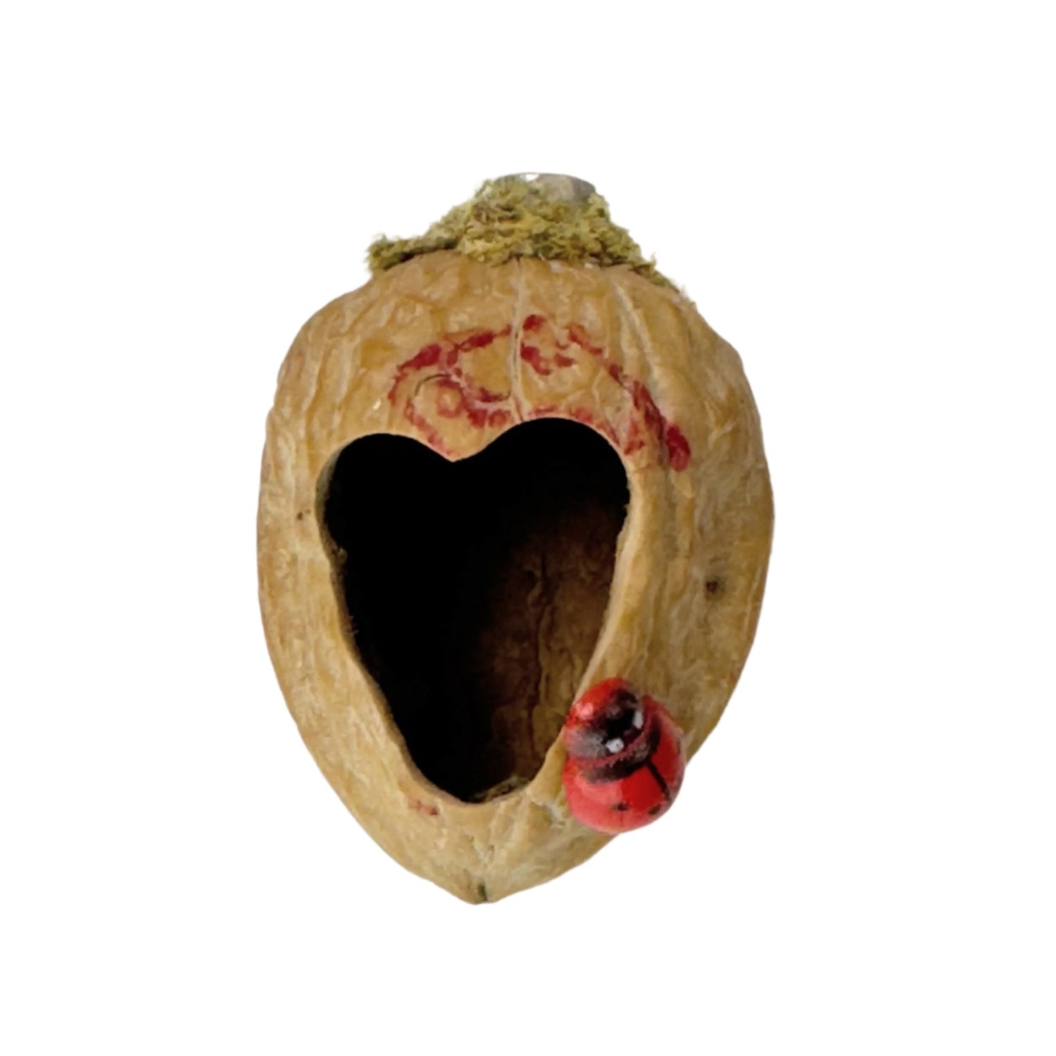 Walnut Hide made with Natural Walnut Shells - Decor - Jumping Spider Setup