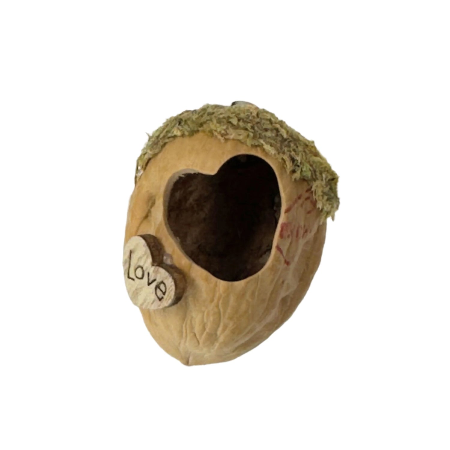 Walnut Hide made with Natural Walnut Shells - Decor - Jumping Spider Setup