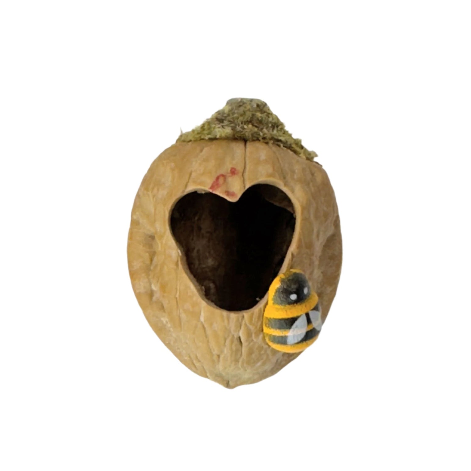 Walnut Hide made with Natural Walnut Shells - Decor - Jumping Spider Setup