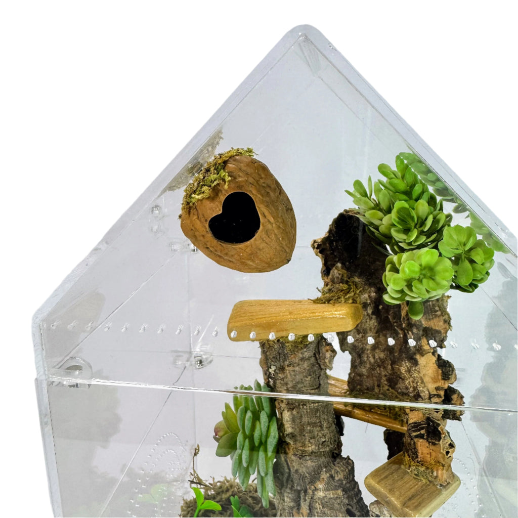 walnut in top of hide