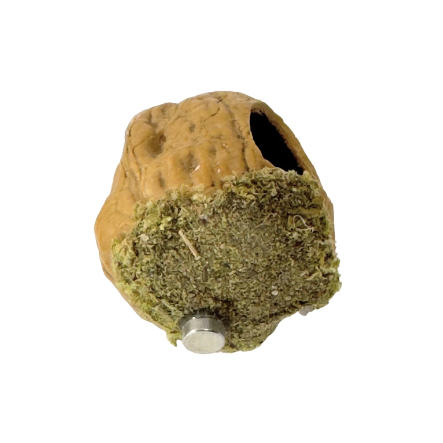 Walnut Hide made with Natural Walnut Shells - Decor - Jumping Spider Setup