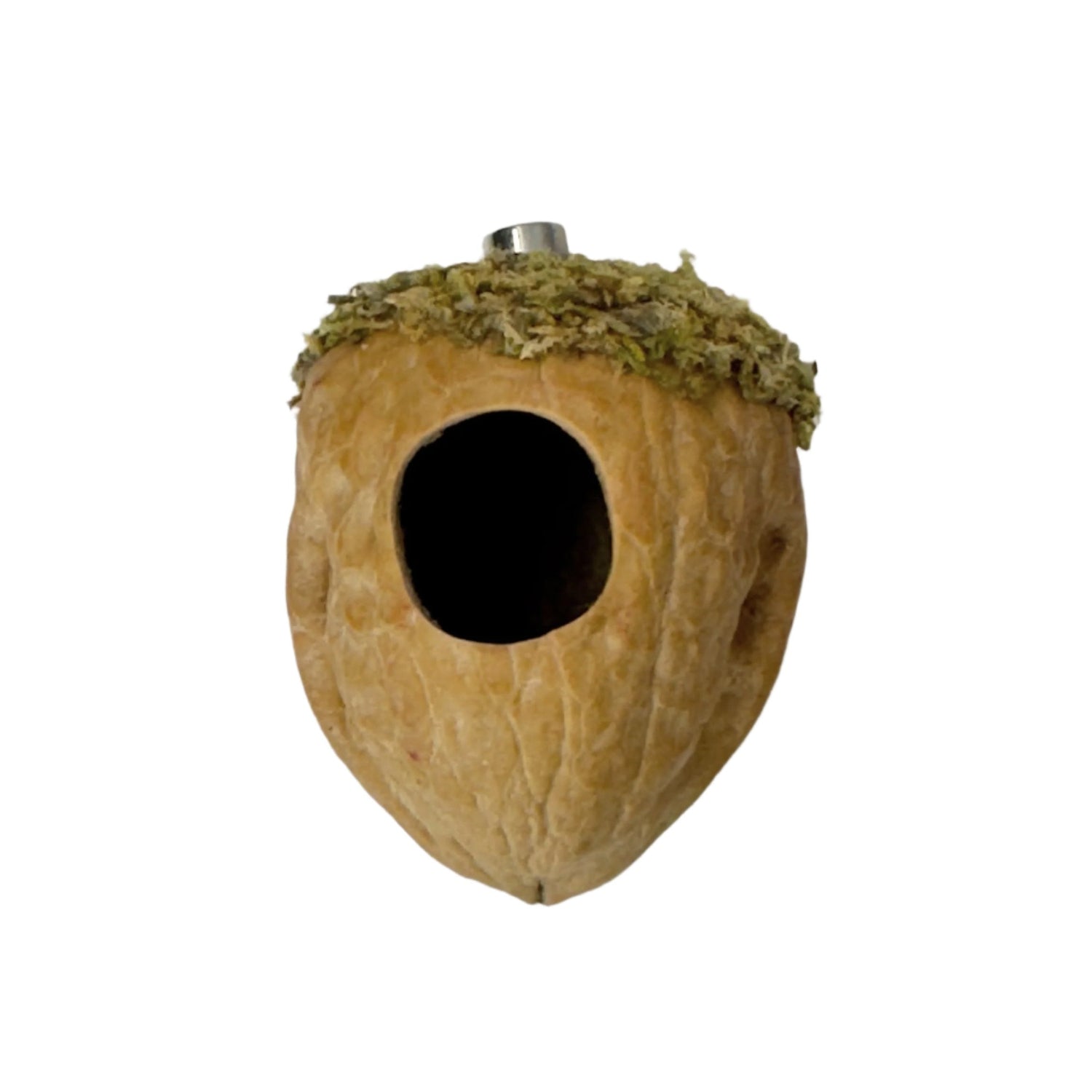 Walnut Hide made with Natural Walnut Shells - Decor - Jumping Spider Setup