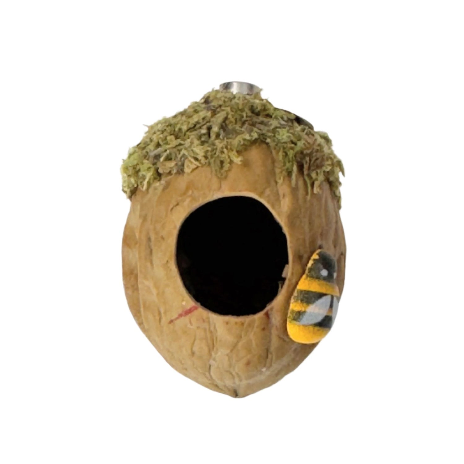 Walnut Hide made with Natural Walnut Shells - Decor - Jumping Spider Setup
