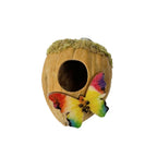 Walnut Hide  - Decor - Jumping Spider Setup