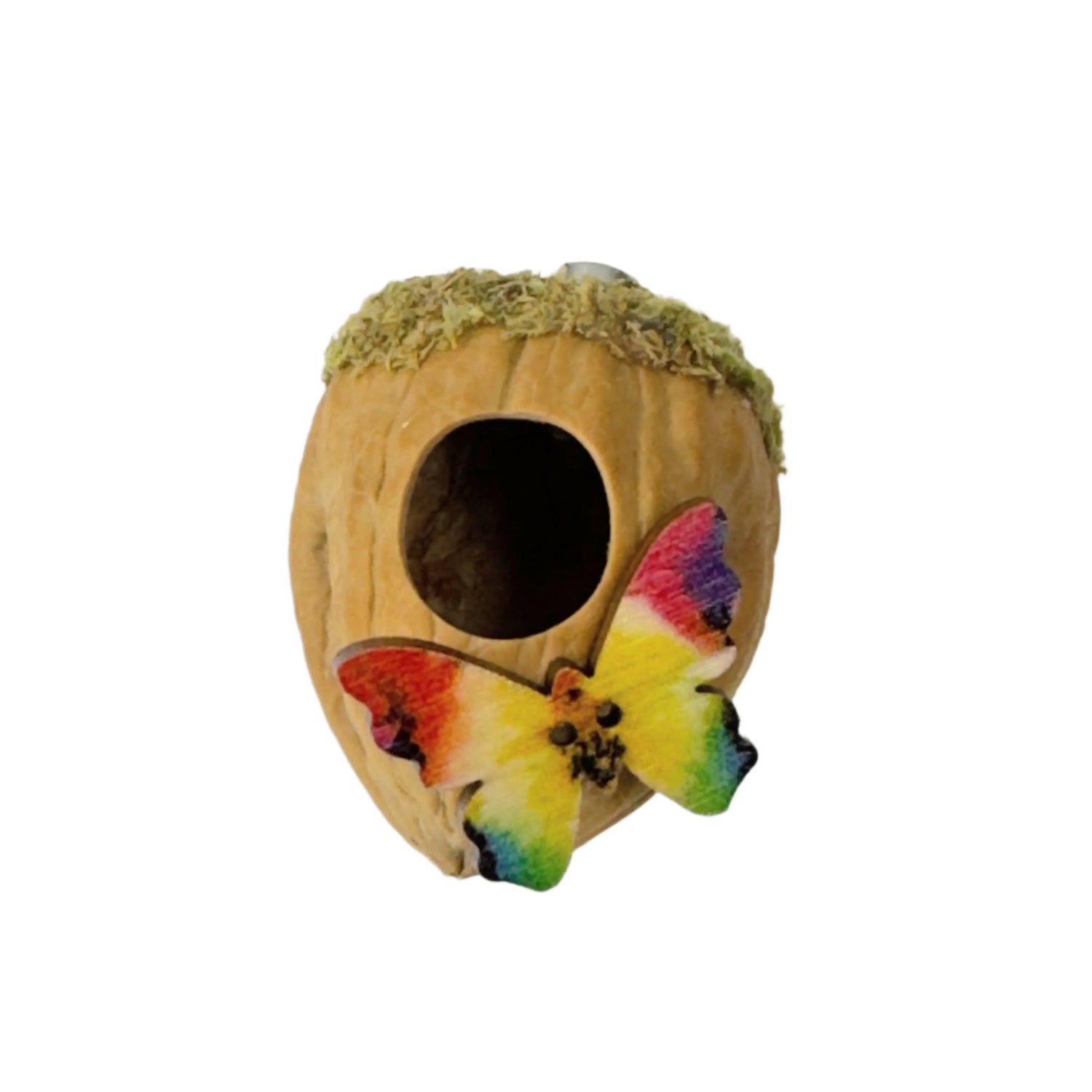 Walnut Hide made with Natural Walnut Shells - Decor - Jumping Spider Setup