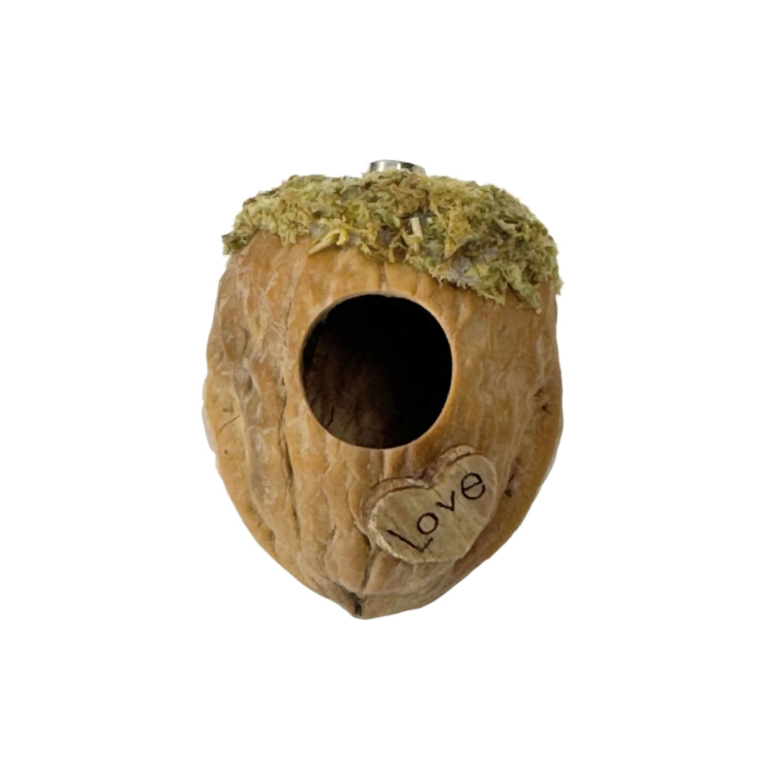 Walnut Hide made with Natural Walnut Shells - Decor - Jumping Spider Setup
